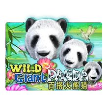 Wild Giant Panda - NOLIMITSLOT777