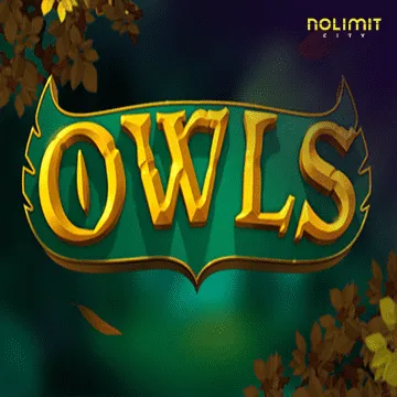 Owls - NOLIMITSLOT777