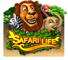 Safari Life - NOLIMITSLOT777